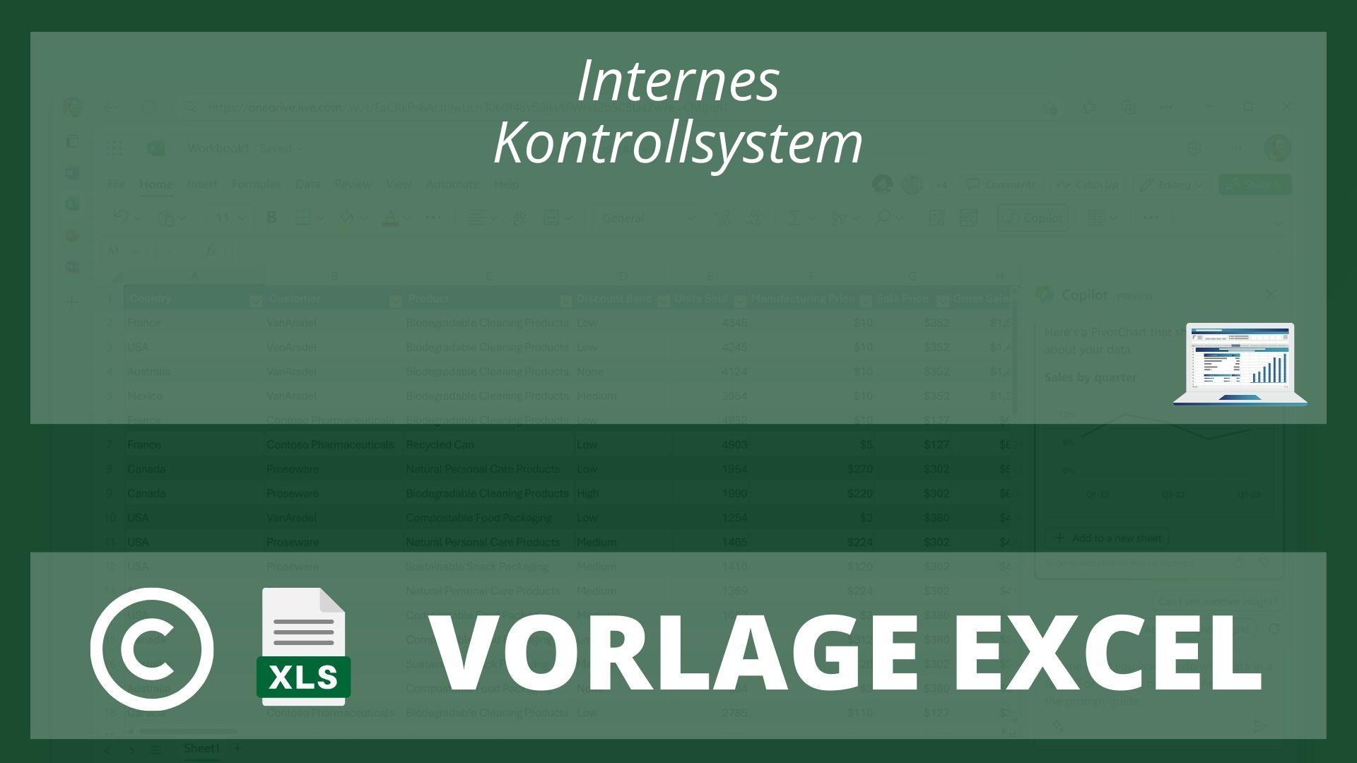 Internes Kontrollsystem